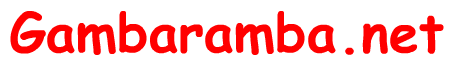 ΂.net